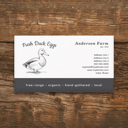 Carte De Visite OEufs De Canard De Ferme Fraîches