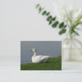 Carte De Visite Oie (Debout devant)