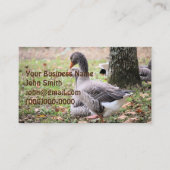 Carte De Visite Oie (Devant)