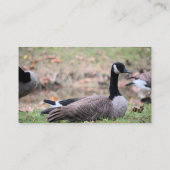 Carte De Visite Oie (Dos)