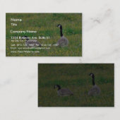 Carte De Visite Oie canadienne (Devant / Derrière)