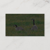 Carte De Visite Oie canadienne (Dos)