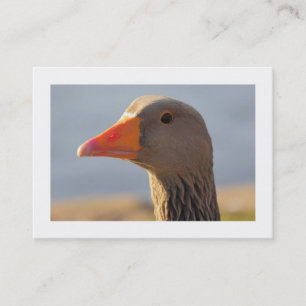 Carte De Visite Oie curieuse (Bordée)