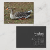 Carte De Visite Oie cygne grise croix (Devant / Derrière)