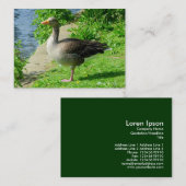 Carte De Visite Oie de Greylag (Devant / Derrière)