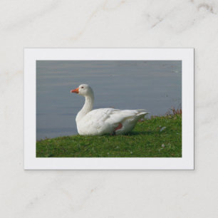 Carte De Visite Oie (frontière)