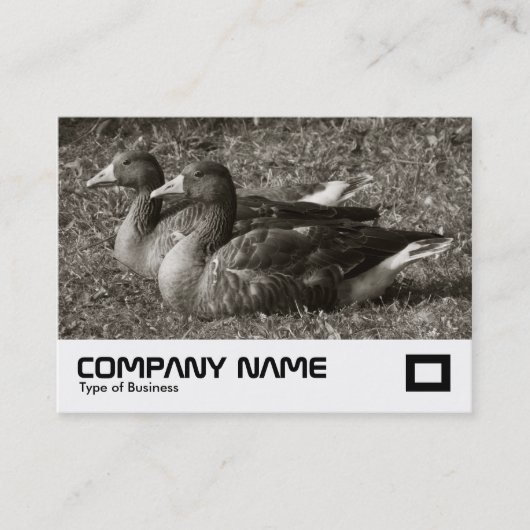 Carte De Visite Oies cendrées (Sépia) (Devant)
