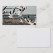 Carte De Visite Oies des neiges volantes (Devant / Derrière)