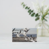 Carte De Visite Oies des neiges volantes (Debout devant)