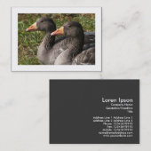 Carte De Visite Oies-Draps (Bordées) (Devant / Derrière)