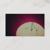 Carte De Visite Oies du Canada silhouettées contre le coucher de (Dos)