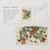 Carte De Visite Oiseau à gorge rubis, Audubon Oiseaux Amérique (Devant / Derrière)