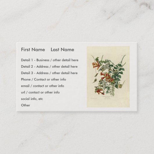 Carte De Visite Oiseau à gorge rubis, Audubon Oiseaux Amérique (Devant)