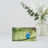 Carte De Visite Oiseau bleu (Debout devant)