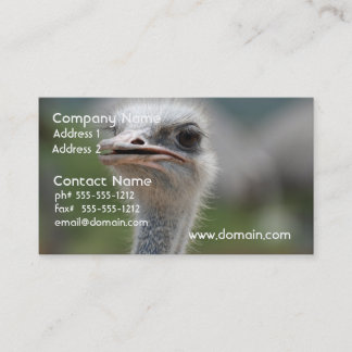 Carte De Visite Oiseau d'autruche