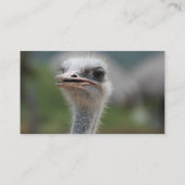 Carte De Visite Oiseau d'autruche (Dos)