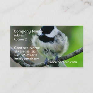 Carte De Visite Oiseau de Chickadee couvert par noir