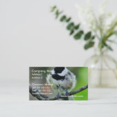 Carte De Visite Oiseau de Chickadee couvert par noir (Debout devant)