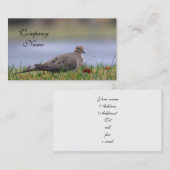 Carte De Visite Oiseau de colombe (Devant / Derrière)