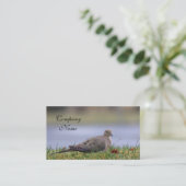 Carte De Visite Oiseau de colombe (Debout devant)