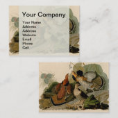 Carte De Visite Oiseau de gibier Audubon (Devant / Derrière)