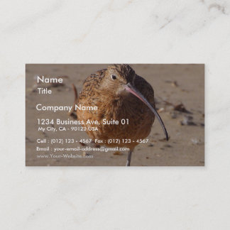 Carte De Visite Oiseau de joueur de pipeau de sable sur la plage