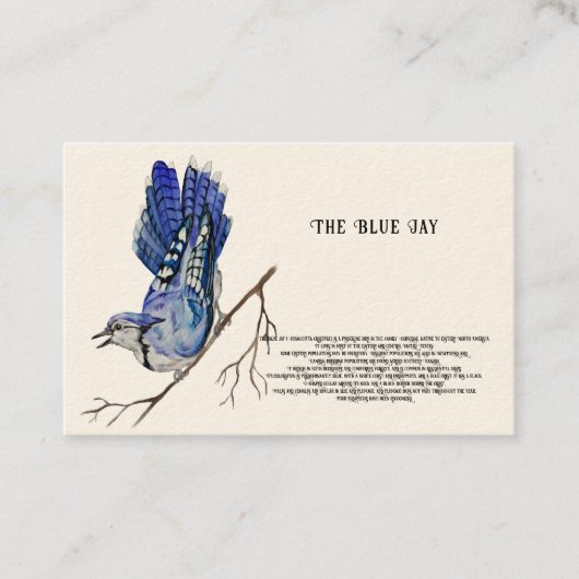 Carte De Visite Oiseau forestier Blue Jay (Devant)