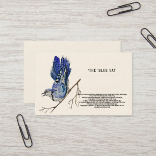 Carte De Visite Oiseau forestier Blue Jay