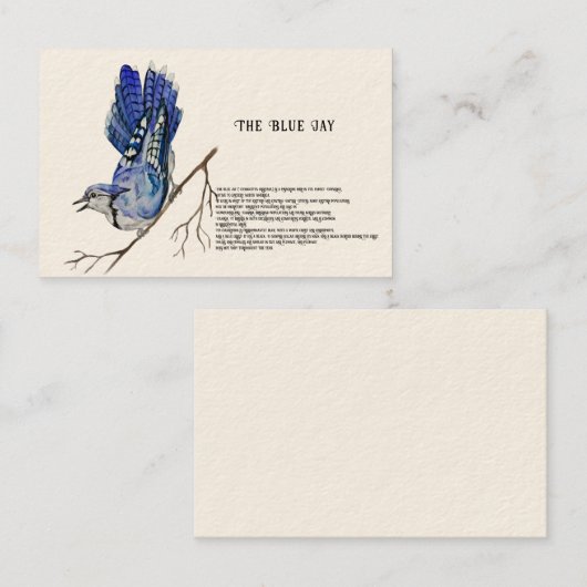 Carte De Visite Oiseau forestier Blue Jay (Devant / Derrière)
