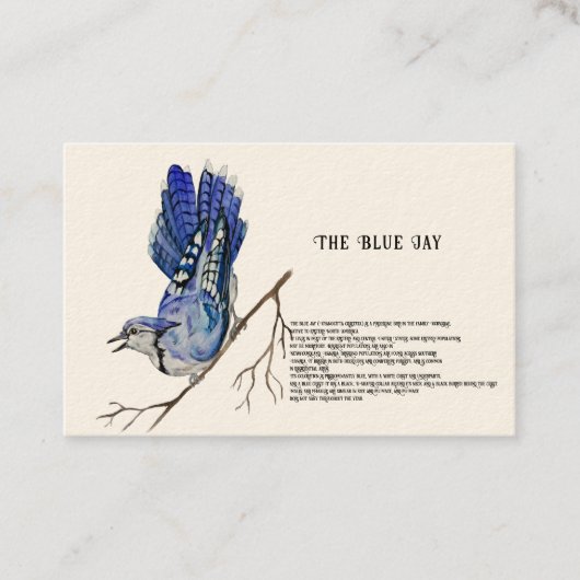 Carte De Visite Oiseau forestier Blue Jay (Devant)