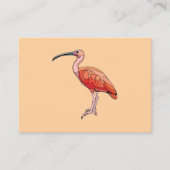 Carte De Visite Oiseau Ibis Scarlet (Devant)