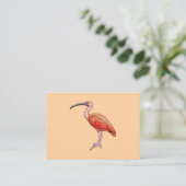 Carte De Visite Oiseau Ibis Scarlet (Debout devant)