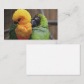 Carte De Visite Oiseaux affectueux (Devant / Derrière)