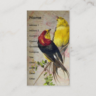 Carte De Visite Oiseaux antiques