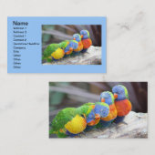 CARTE DE VISITE OISEAUX COLORÉS (Devant / Derrière)