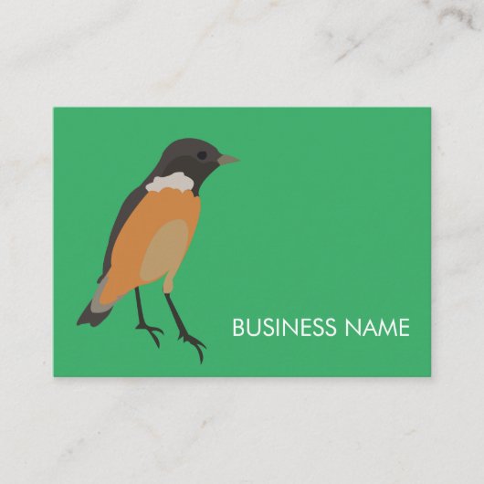 Carte De Visite Oiseaux Colorés Songbird (Devant)