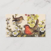 Carte De Visite Oiseaux de printemps Robin Oiseaux rouges (Dos)