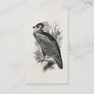 Carte De Visite Oiseaux de vautours personnalisés par oiseau