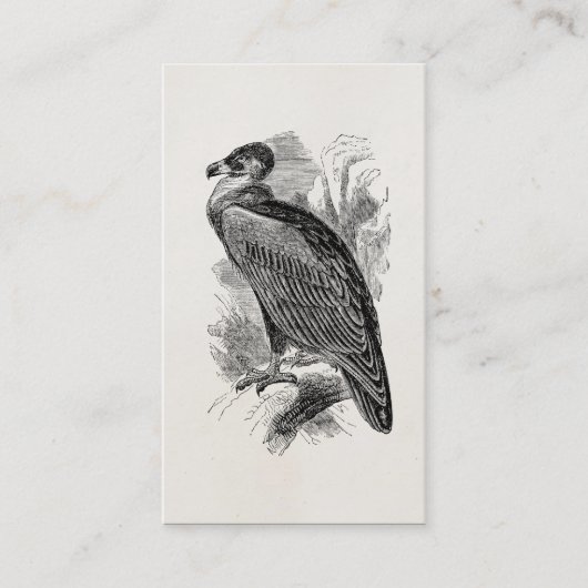 Carte De Visite Oiseaux de vautours personnalisés par oiseau (Devant)