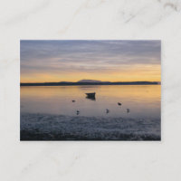 Oiseaux et bateau de mer