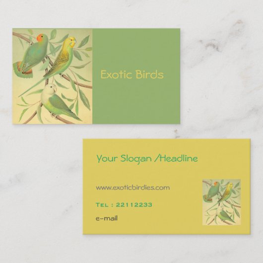 Carte De Visite oiseaux exotiques (Devant / Derrière)