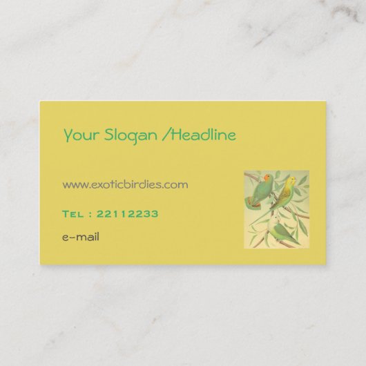 Carte De Visite oiseaux exotiques (Dos)