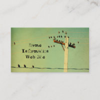 Oiseaux rétro