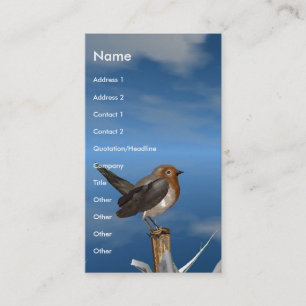 CARTE DE VISITE OISEAUX/SEIN HYPER ROUGE DE ROBIN