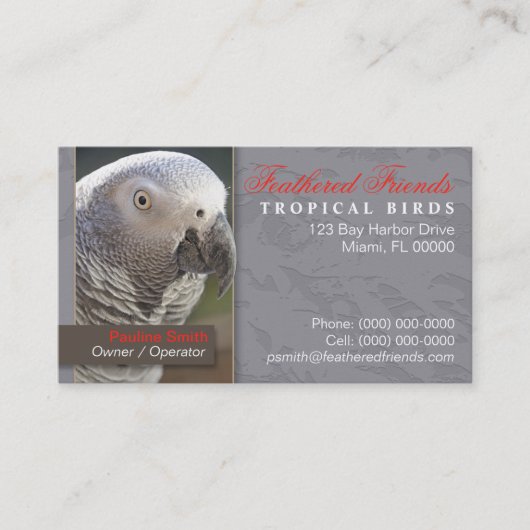 Carte de visite Oiseaux Tropicaux (Devant)