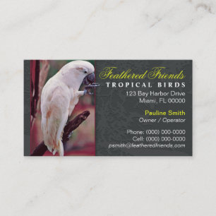 Carte de visite Oiseaux Tropicaux