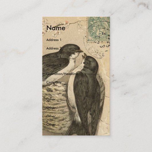 Carte De Visite Oiseaux Vintages et nid (Devant)