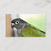 Carte De Visite Ollie wallie (Dos)
