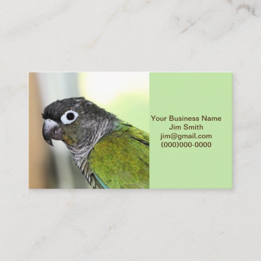 Carte De Visite Ollie wallie (Devant)
