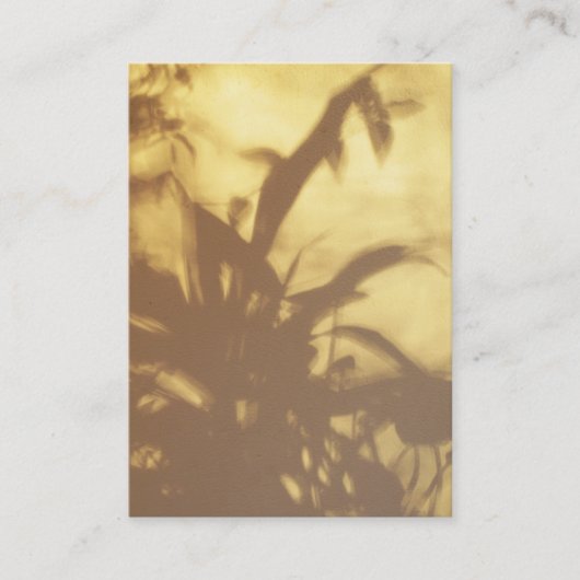 Carte De Visite Ombre ATC (Devant)